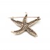 Deniz Yıldızı Pirinç Broş